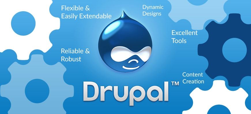 Best Drupal Hosting Companies