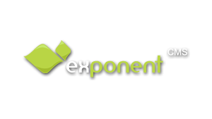 Best Exponent CMS Hosting Companies 